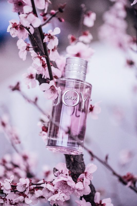 JOY cũng tựa như một món quà của cuộc sống, mang đến một chút may mắn – điều đã được Dior gửi gắm cho những cô gái sử dụng hương nước hoa đặc biệt này.